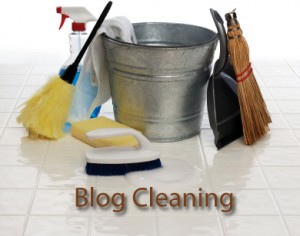 Blog Cleaning